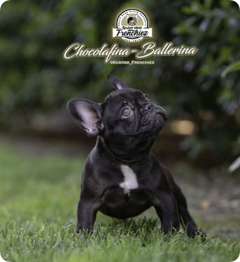 chocolafina-ballerina-img-01